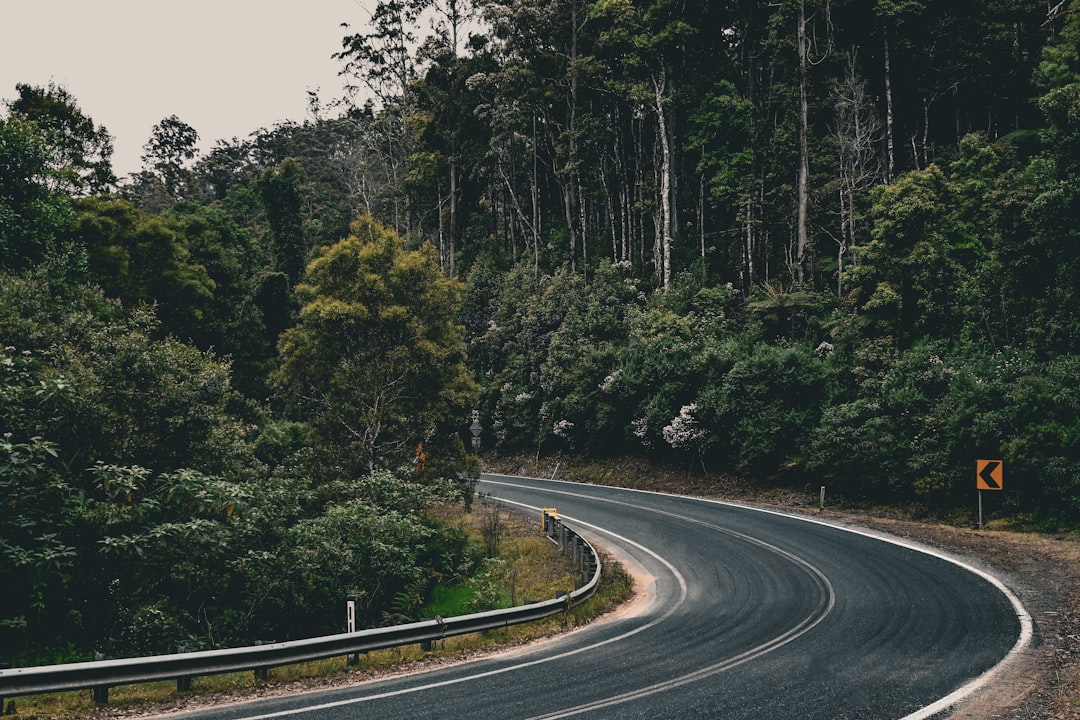 Watch Out! Everything You Need to Know About Traffic Cautionary Signs