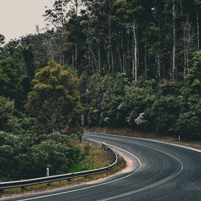 Watch Out! Everything You Need to Know About Traffic Cautionary Signs
