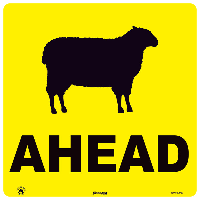 Sheep Ahead (Sheep Picto + Ahead Text)