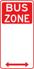 Bus Zone (Dual Arrow)