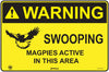 Warning Swooping Magpies Active In This Area