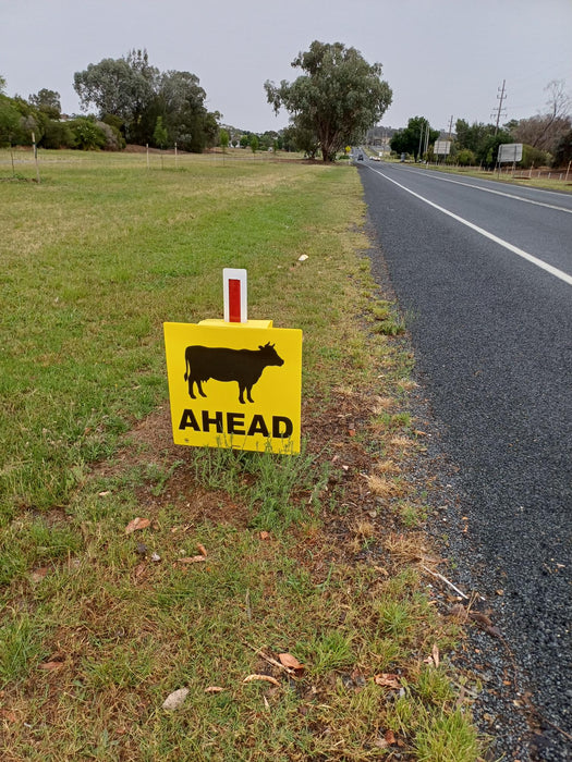 Cattle Ahead (Cattle Picto + Ahead Text), 600 x 600mm Corflute Guide Post Sign