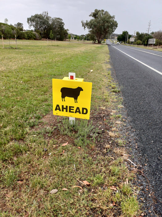 Sheep Ahead (Sheep Picto + Ahead Text), 600 x 600mm Corflute Guide Post Sign