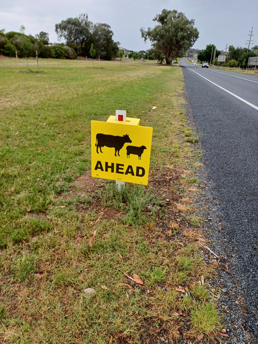 Stock Ahead (Sheep & Cattle Picto + Ahead Text), 600 x 600mm Corflute Guide Post Sign