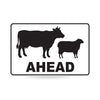 Stock Ahead (Sheep & Cattle Picto + Ahead Text), 900 x 600mm Metal, Class 1 White Refl, Swing Stand