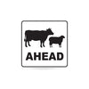 Stock Ahead (Sheep & Cattle Picto + Ahead Text), 600 x 600mm Metal, Class 1 White Refl, Swing Stand