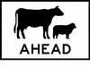 Stock Ahead (Sheep & Cattle Picto+Ahead Text), 900 x 600mm Boxed Edge, Metal CL1 White Reflective