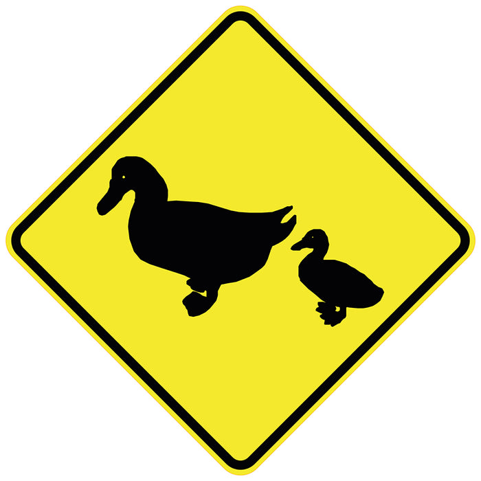 Ducks (Symbolic)