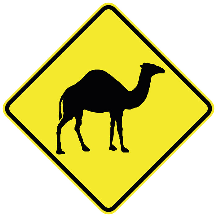 Camel (Symbolic)