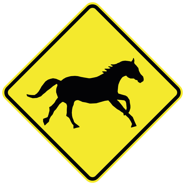 Wild Horses (Symbolic)