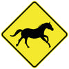 Wild Horses (Symbolic)