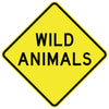 Wild Animals