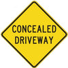 Concealed Driveway