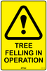 Tree Felling in Operation