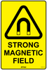 Strong Magnetic Field