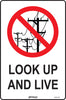 Look Up And Live