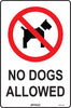 No Dogs Allowed